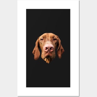 Vizsla Hungarian Vizsla Art Posters and Art